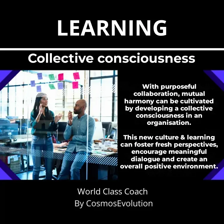 Two people working together in an office setting to develop collective consciousness through learning and dialogue.